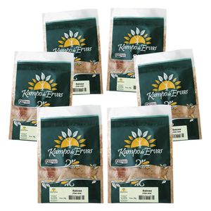 Kit 6x Babosa - Aloe Vera (Orgânico) 25g - Kampo de Ervas