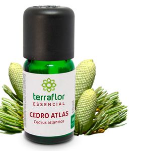 Óleo Essencial Cedro Atlas 10ml - Terra Flor