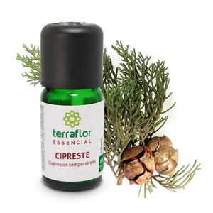 Óleo Essencial Cipreste 10ml - Terra Flor