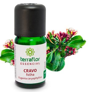 Óleo Essencial Cravo Folha 10ml - Terra Flor