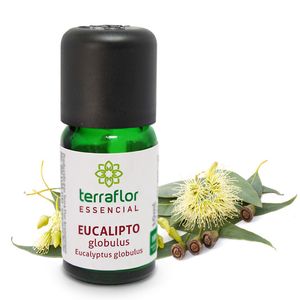Óleo Essencial Eucalipto Globulus 10ml - Terra Flor