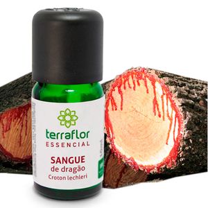 Óleo Essencial Sangue de Dragão Seiva Resinosa 10ml - Terra Flor