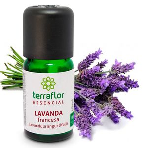 Óleo Essencial Lavanda Francesa 10ml - Terra Flor