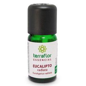 Óleo Essencial Eucalipto Radiata 10ml - Terra Flor