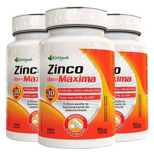 Kit 3x Zinco Dose Máxima (500mg) 30 Cápsulas - Katiguá