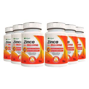 Kit 6x Zinco Dose Máxima (500mg) 30 Cápsulas - Katiguá