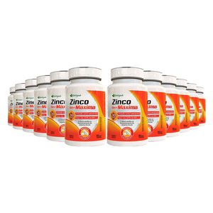 Kit 12x Zinco Dose Máxima (500mg) 30 Cápsulas - Katiguá