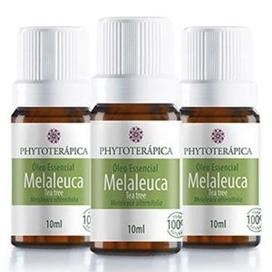 Kit 3x Aceite Esencial de Melaleuca (Árbol del Té) 10ml - Phytoterapica