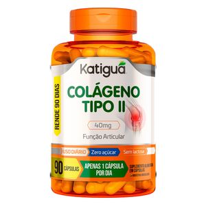 Colágeno Tipo II (40mg) 90 Cápsulas - Tipo