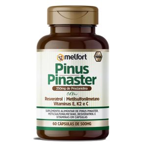 Pinus Pinaster (500mg) 60 Cápsulas - Melfort