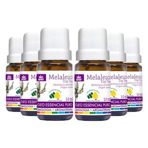 Kit 6x Óleo Essencial Melaleuca (Tea Tree) 10ml - Wnf