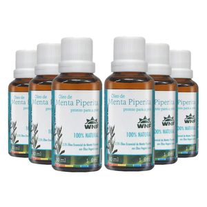 Kit 6x Óleo Essencial 2,5% Menta Piperita pronto para pele 30ml - Wnf