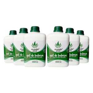 Kit 6x Pulpa de Babosa (100% Pulpa Pura de Aloe Vera) 1000ml - Aloe World